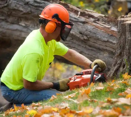 tree services Horse Shoe